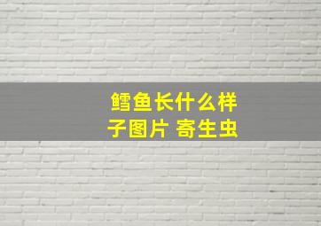 鳕鱼长什么样子图片 寄生虫